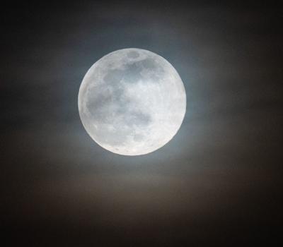 pink moon