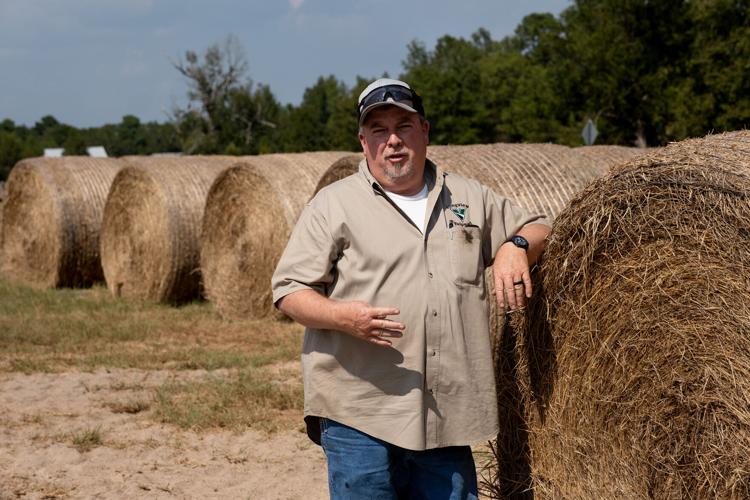 Dry summer leads to hay shortage for some farmers