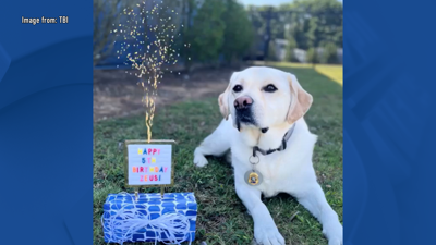 Zeus celebrates birthday