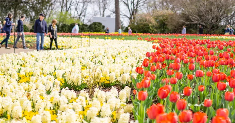 TN Spring Travel Inspiration: Fresh air, road trips and Tennessee music |