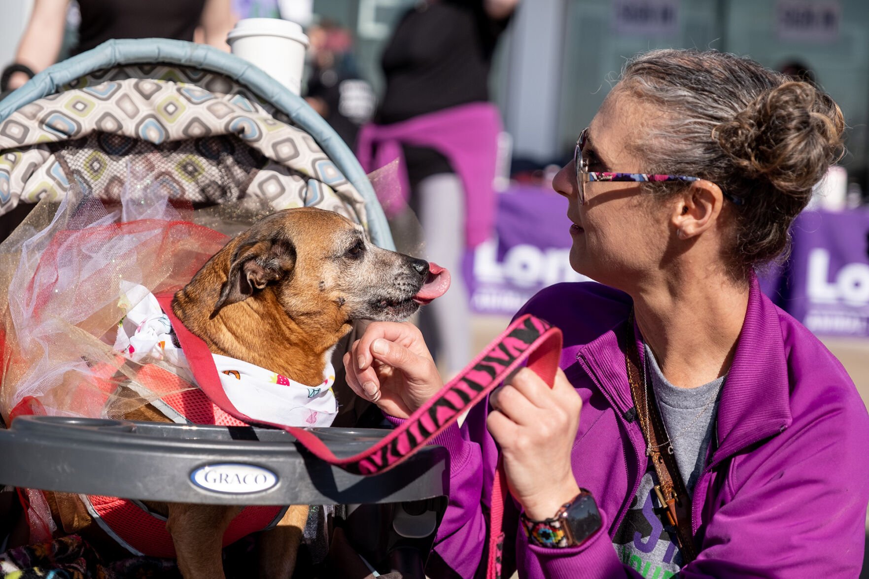 PHOTOS Strut Your Mutt 1 Mile Wag Walk in Longview Local News