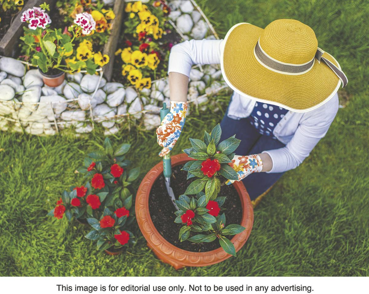 Protect Your Plants From Winter News Journal Com
