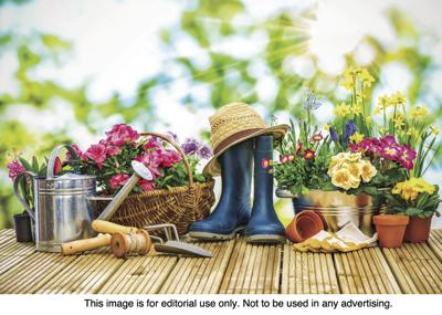 Stock Up On Gardening Essentials News Journal Com
