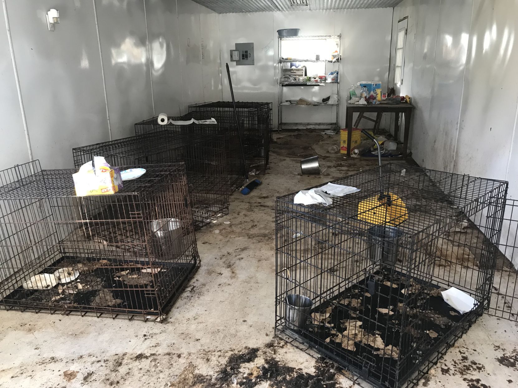 jefferson county dog shelter