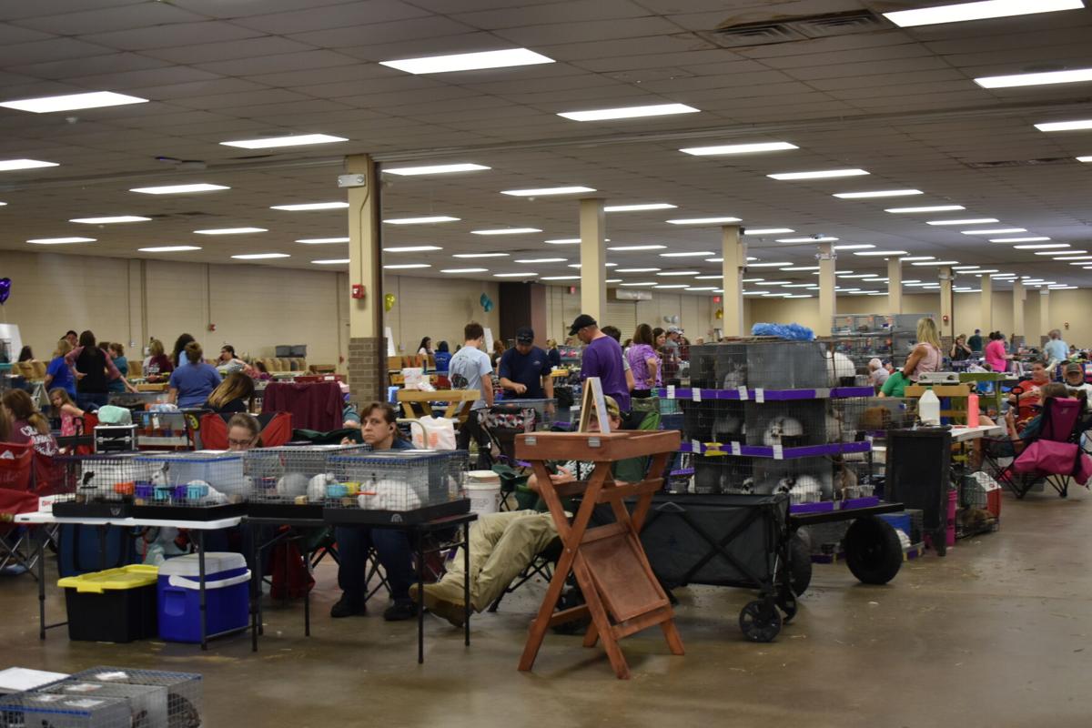East Texas Rabbit Breeders Association’s Rabbit Show