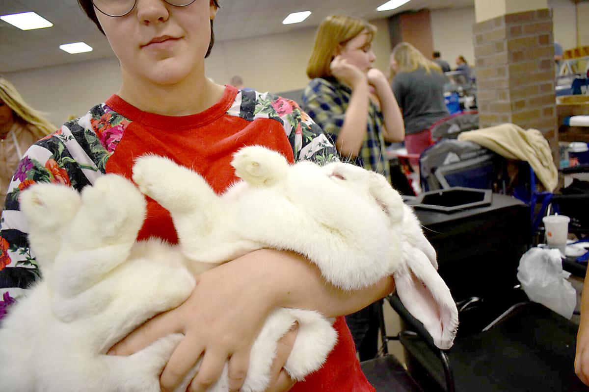 East Texas Rabbit Breeders Association’s Rabbit Show