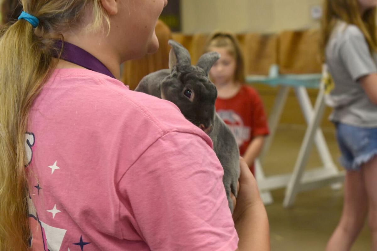 East Texas Rabbit Breeders Association’s Rabbit Show