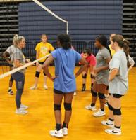 Area volleyball teams back on the court