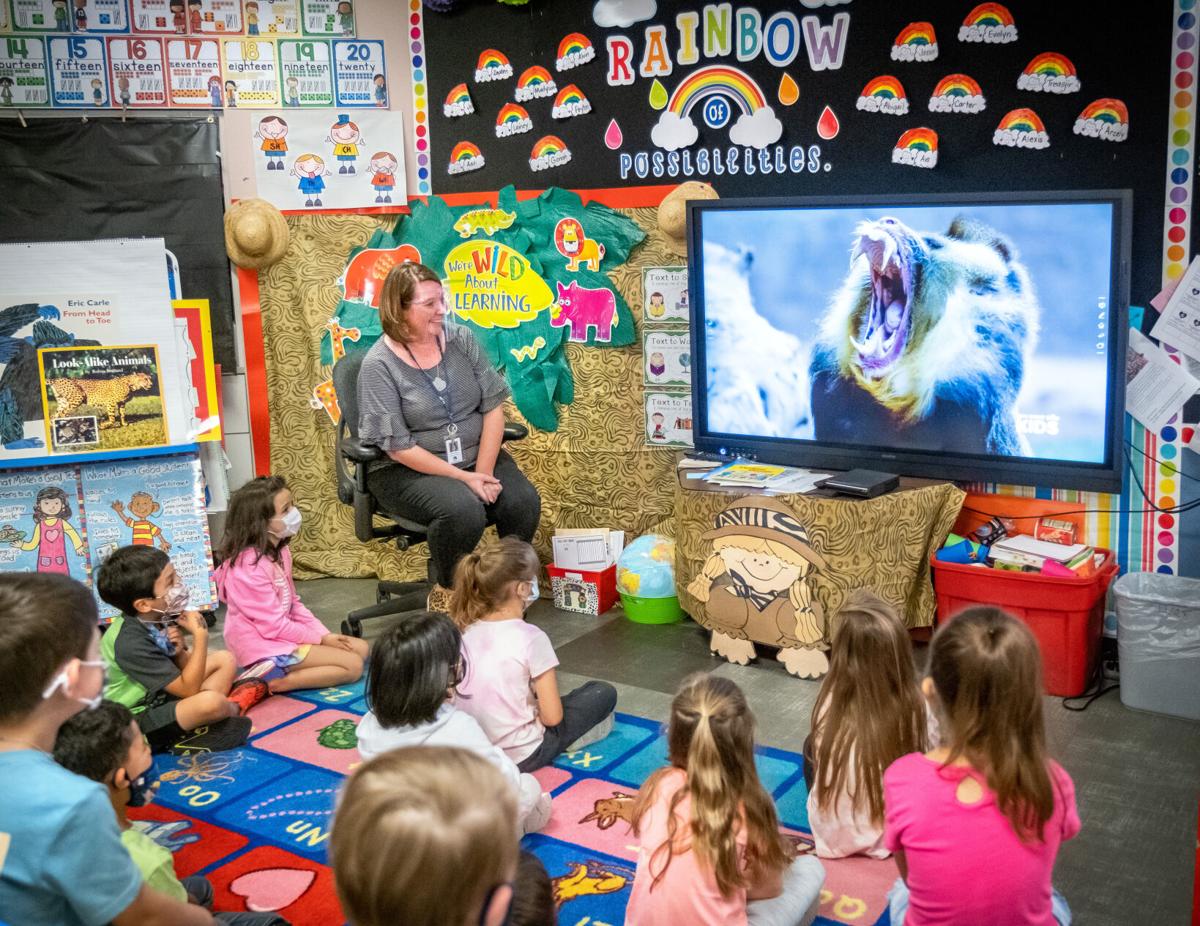Virtual Field Trip