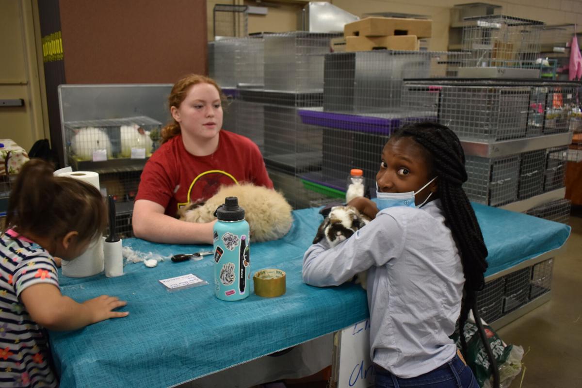 East Texas Rabbit Breeders Association’s Rabbit Show