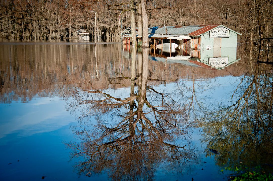 Hundreds Flee Rising Caddo Lake Residents Awed By Week S Deluge