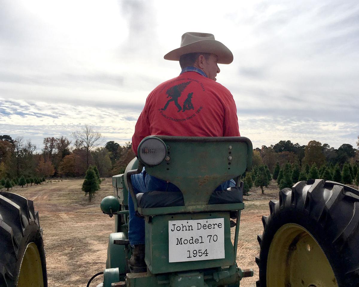 east texas christmas tree farms open for business local christmas tree farms in east texas