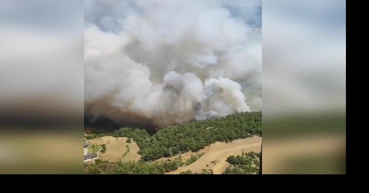 Turkey: Firefighters Battle Wildfires in Kepsut Alongside Bornova and Pazarcık