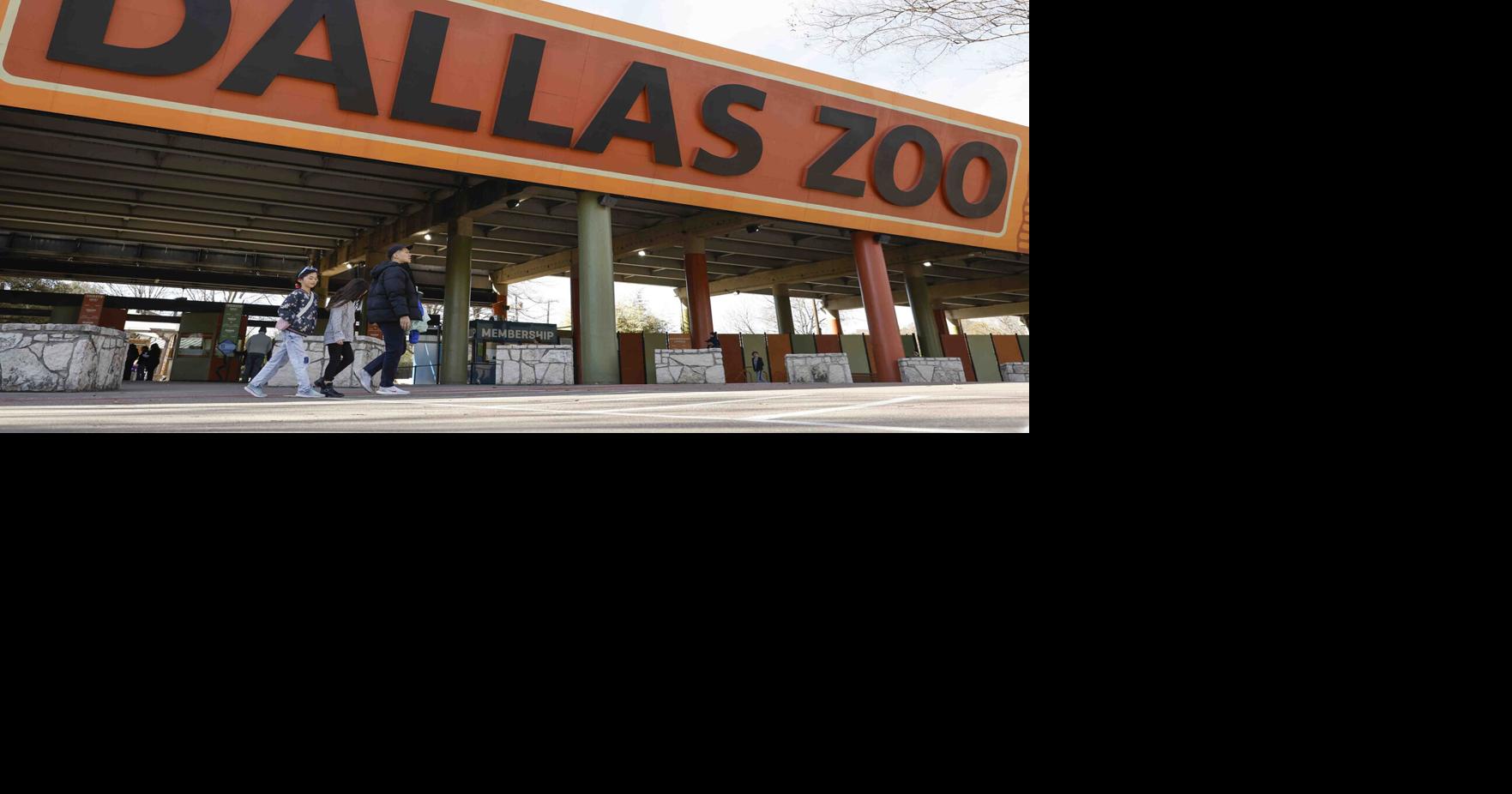 Dallas Zoo - Business in the front, party in the back.