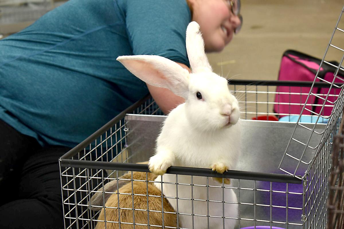 East Texas Rabbit Breeders Association’s Rabbit Show