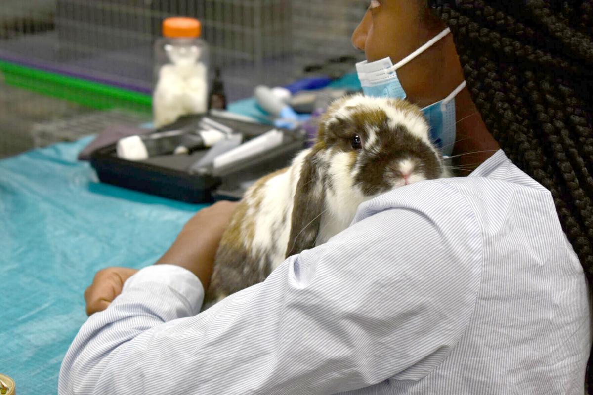East Texas Rabbit Breeders Association’s Rabbit Show