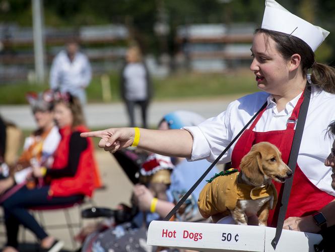 Celebrate 'Howl-o-ween' with Disney-themed pet costumes