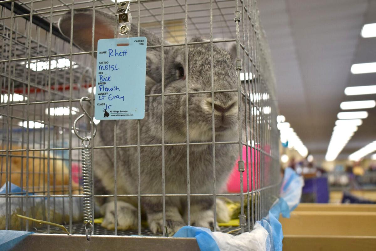 East Texas Rabbit Breeders Association’s Rabbit Show