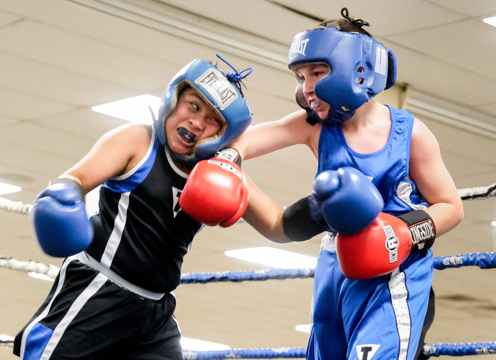 boxing gloves golden