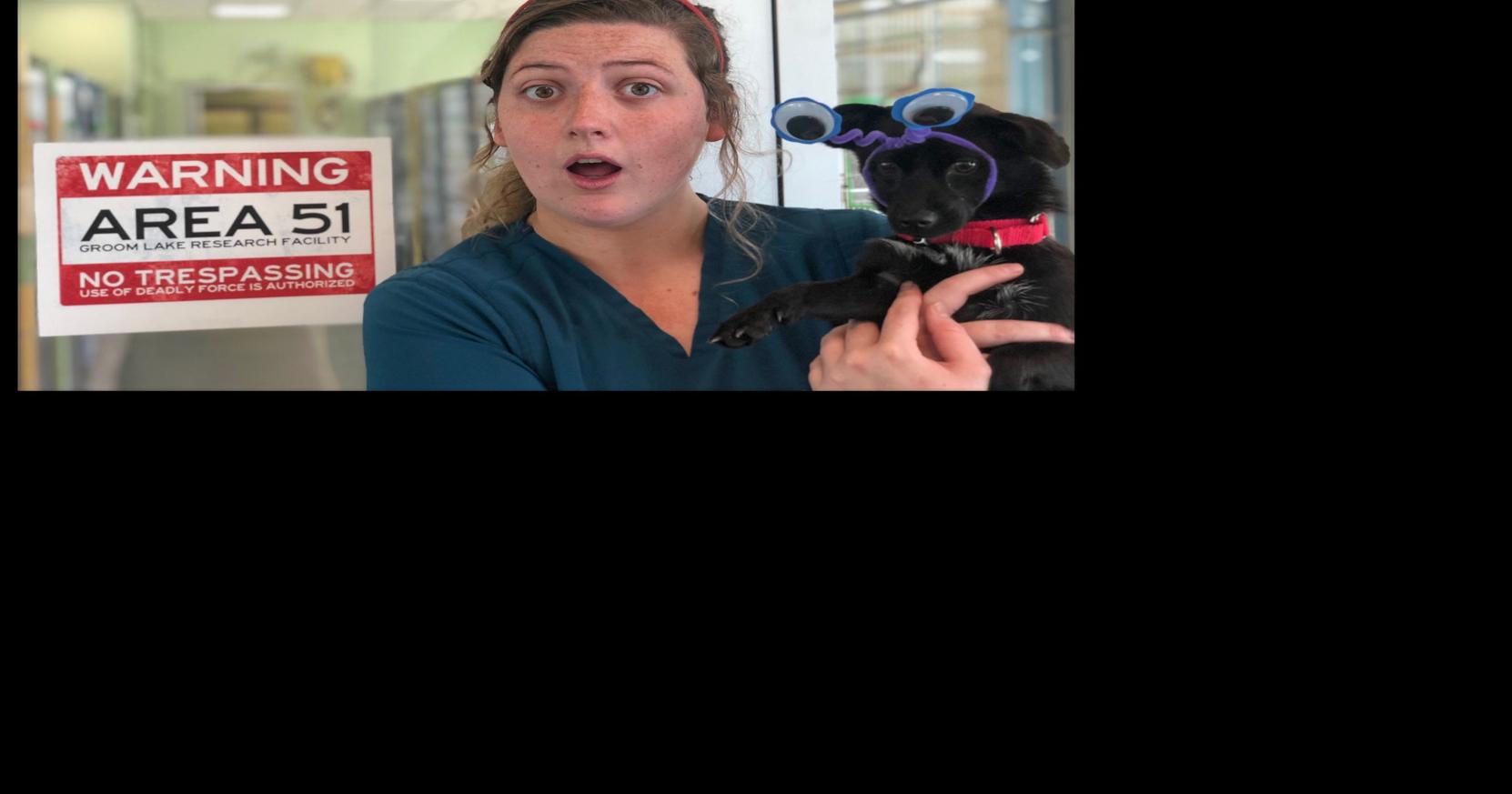 Alien' Facebook post by Longview Animal Care and Adoption Center goes  viral, spurs adoptions | Local 