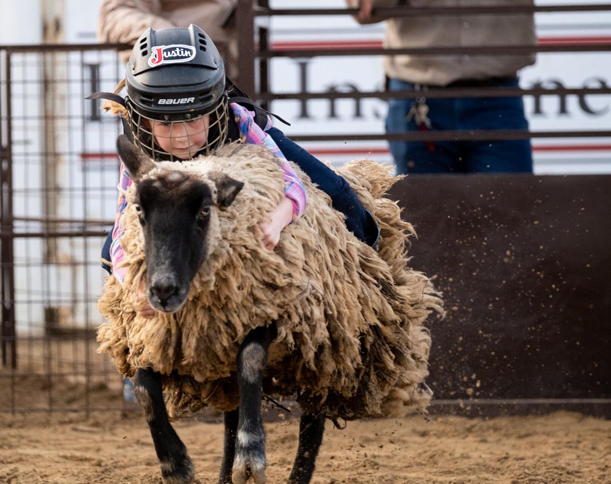 Gladewater Round-Up Rodeo