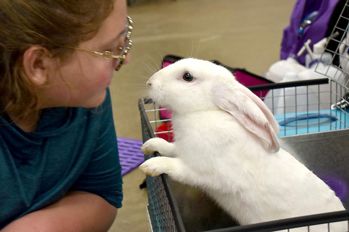 East Texas Rabbit Breeders Association’s Rabbit Show