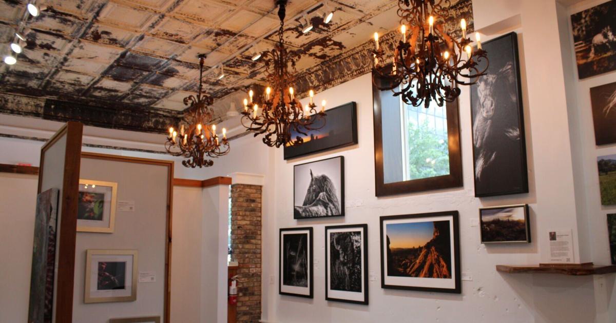 Tyler Fine Art Gallery expands arts scene in downtown