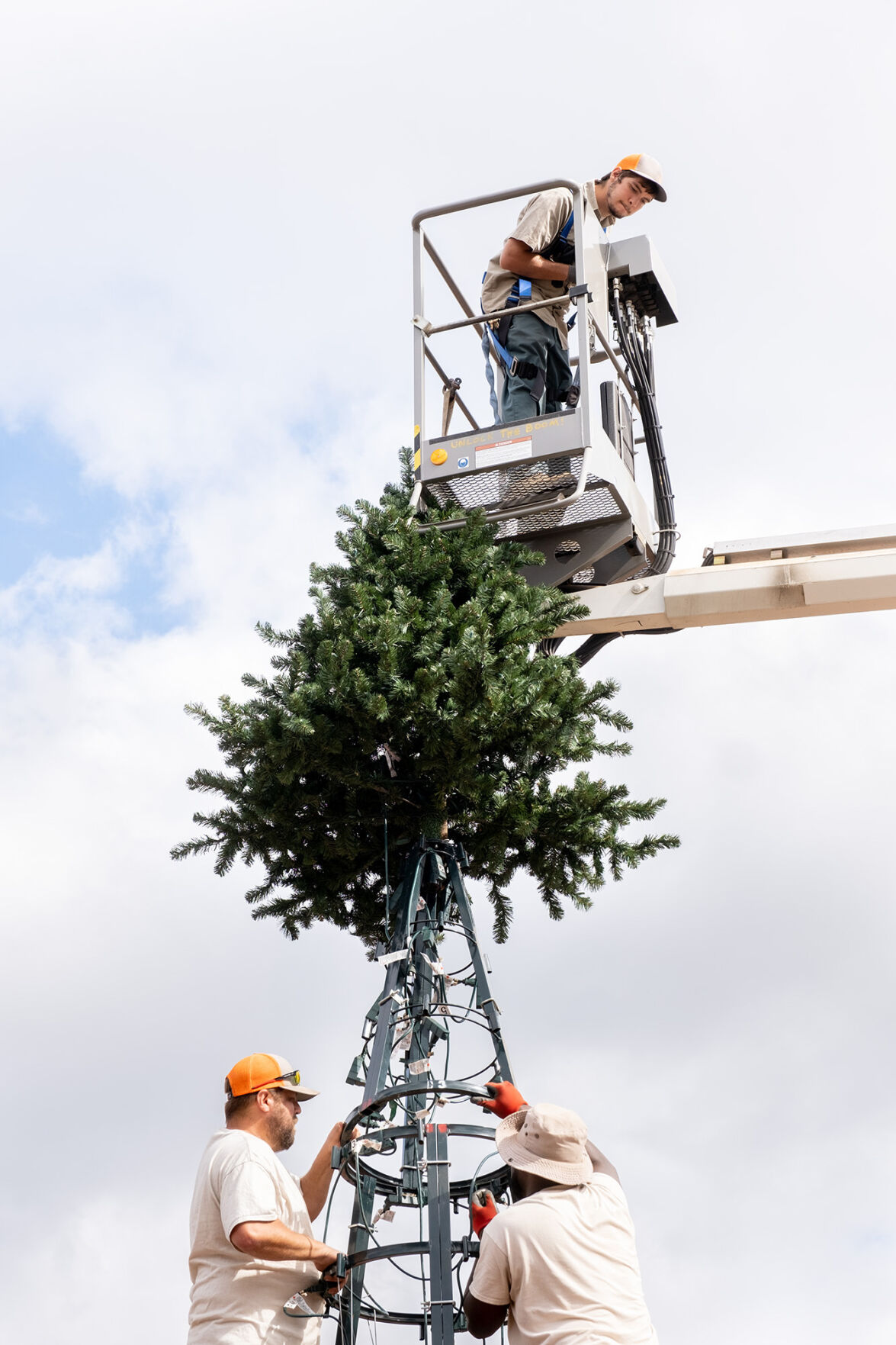 Christmas Tree
