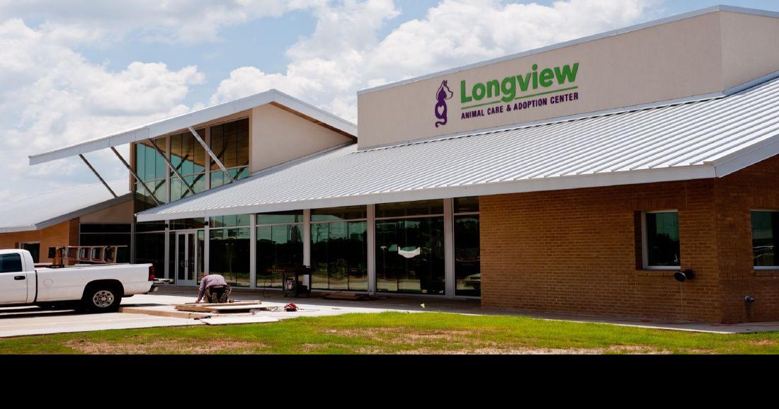 Longview Animal Care and Adoption Center giving away hay to pet owners in need | Local News