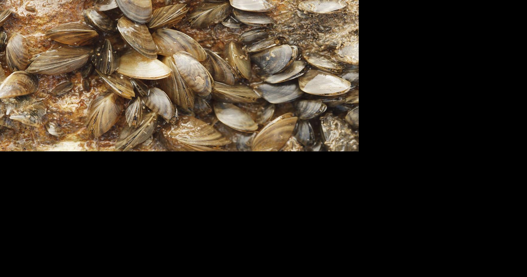 Clean As You Go: Boaters reminded to clean, drain and dry to protect Texas waters