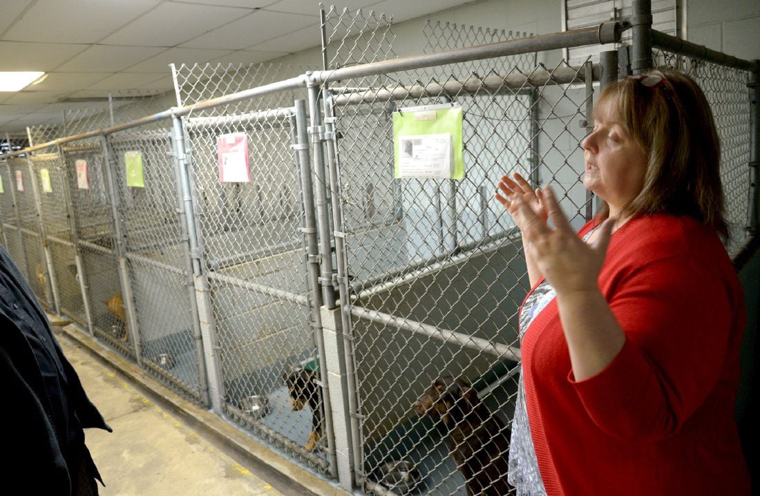 Future uncertain for Humane Society with new Longview animal shelter ...