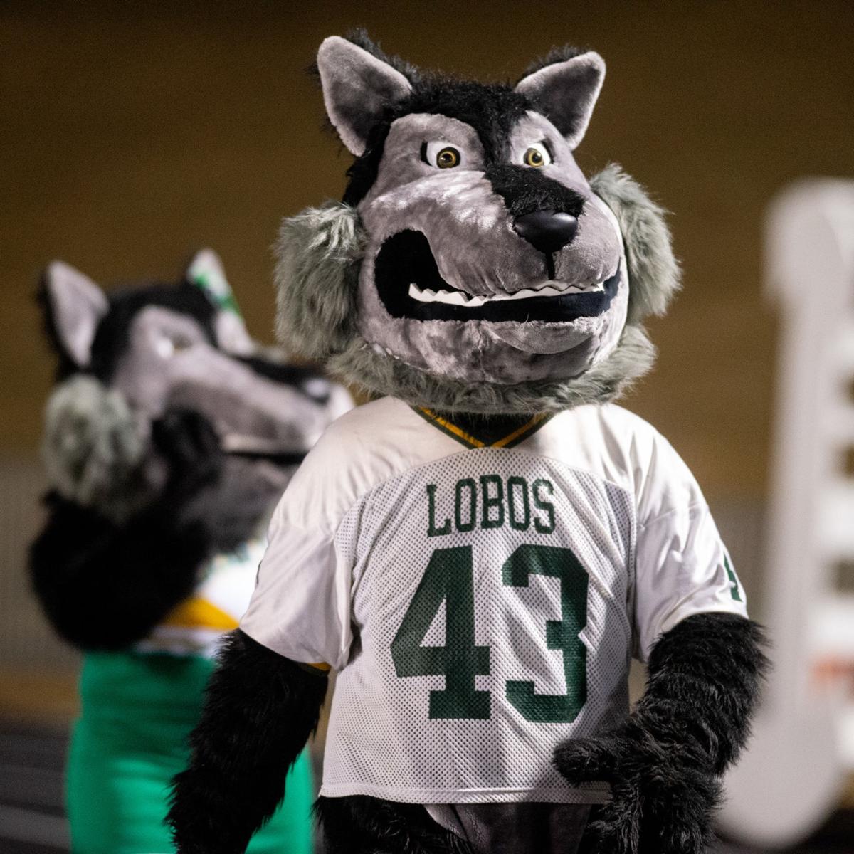 Lobos, Panthers advance to second round of playoffs Local News news