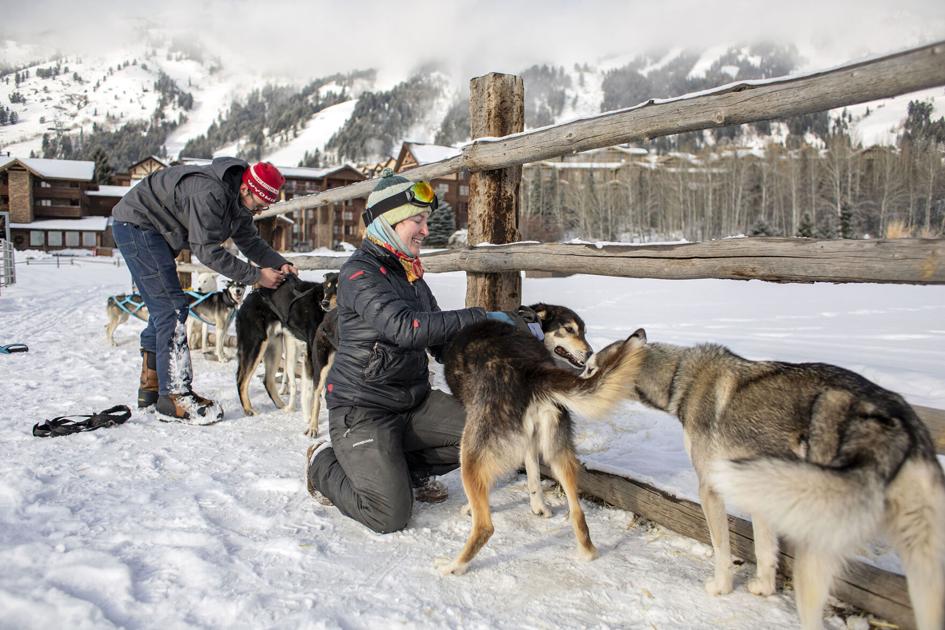 New enterprise offers sled dog tours in Jackson Hole | Way of life