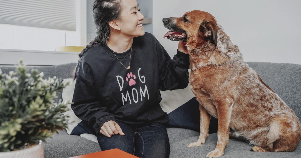 Managing your pet’s weight: 3 tips to keep dogs and cats healthy | Lifestyle Managing your pet’s weight: 3 tips to keep dogs and cats healthy | Lifestyle