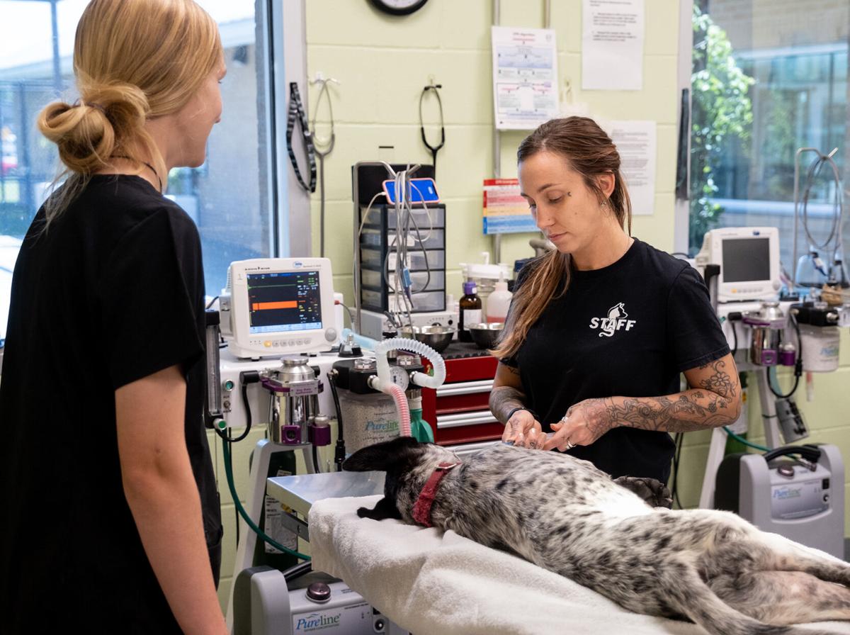 Longview Animal Care and Adoption Center