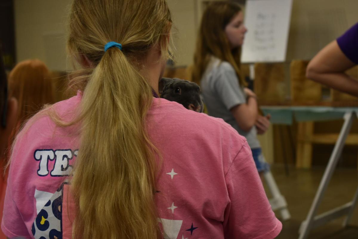 East Texas Rabbit Breeders Association’s Rabbit Show