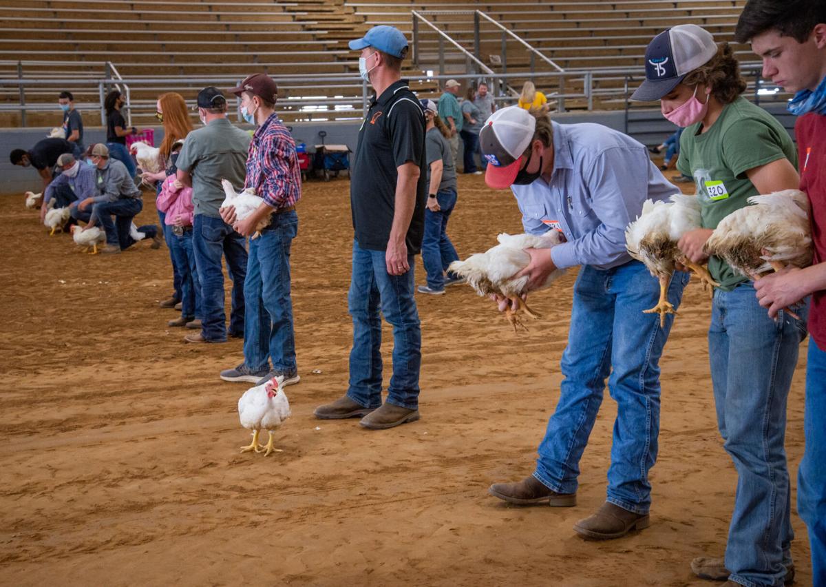 Harvest Festival & Livestock Show opens after moving from Longview to