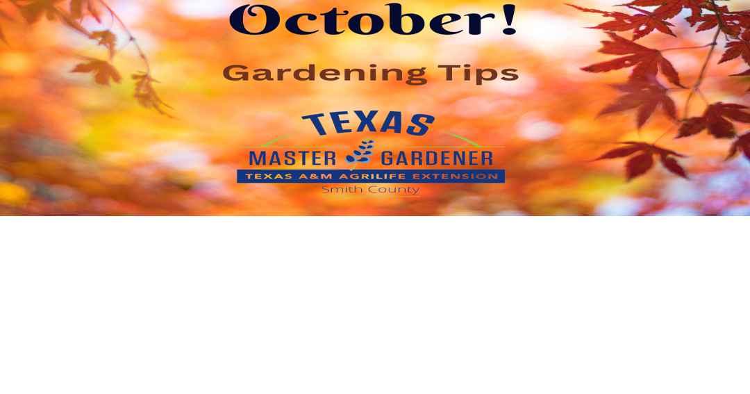 Master Gardener: October gardening tips | Features