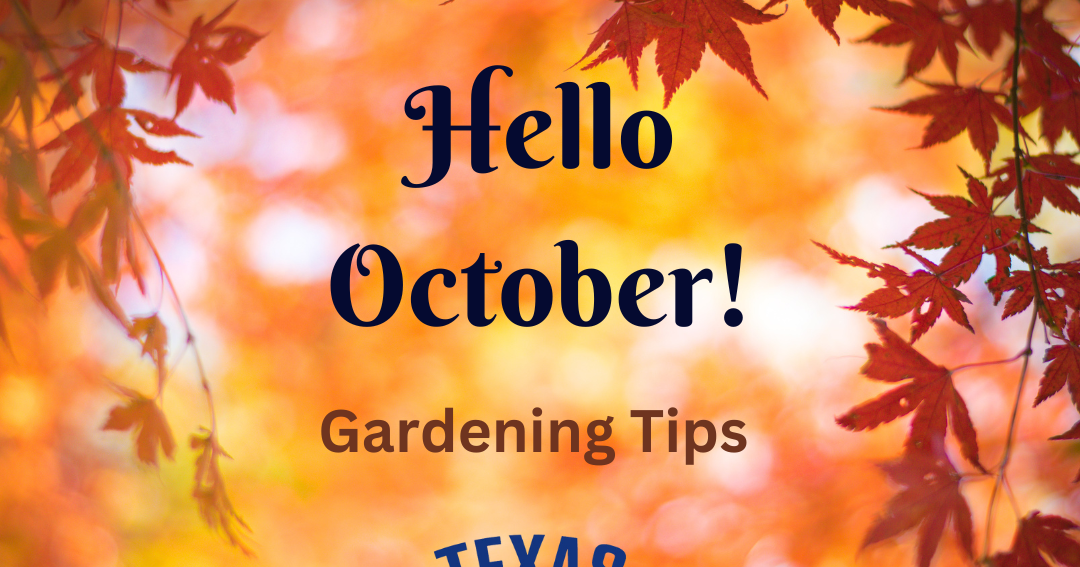 Master Gardener: October gardening tips | Features