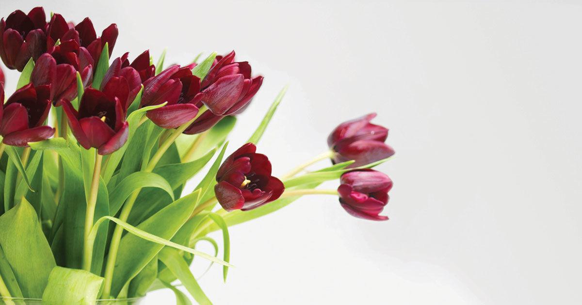 How To Make Cut Flowers Last Longer Voices News Journal Com