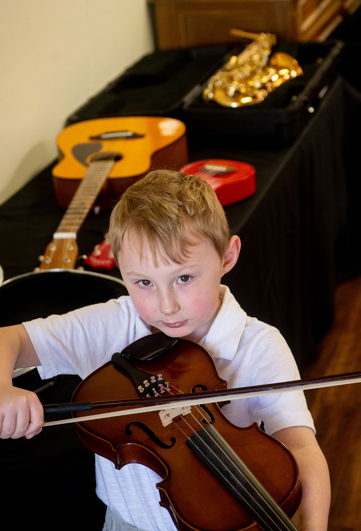 Instrument Petting Zoo