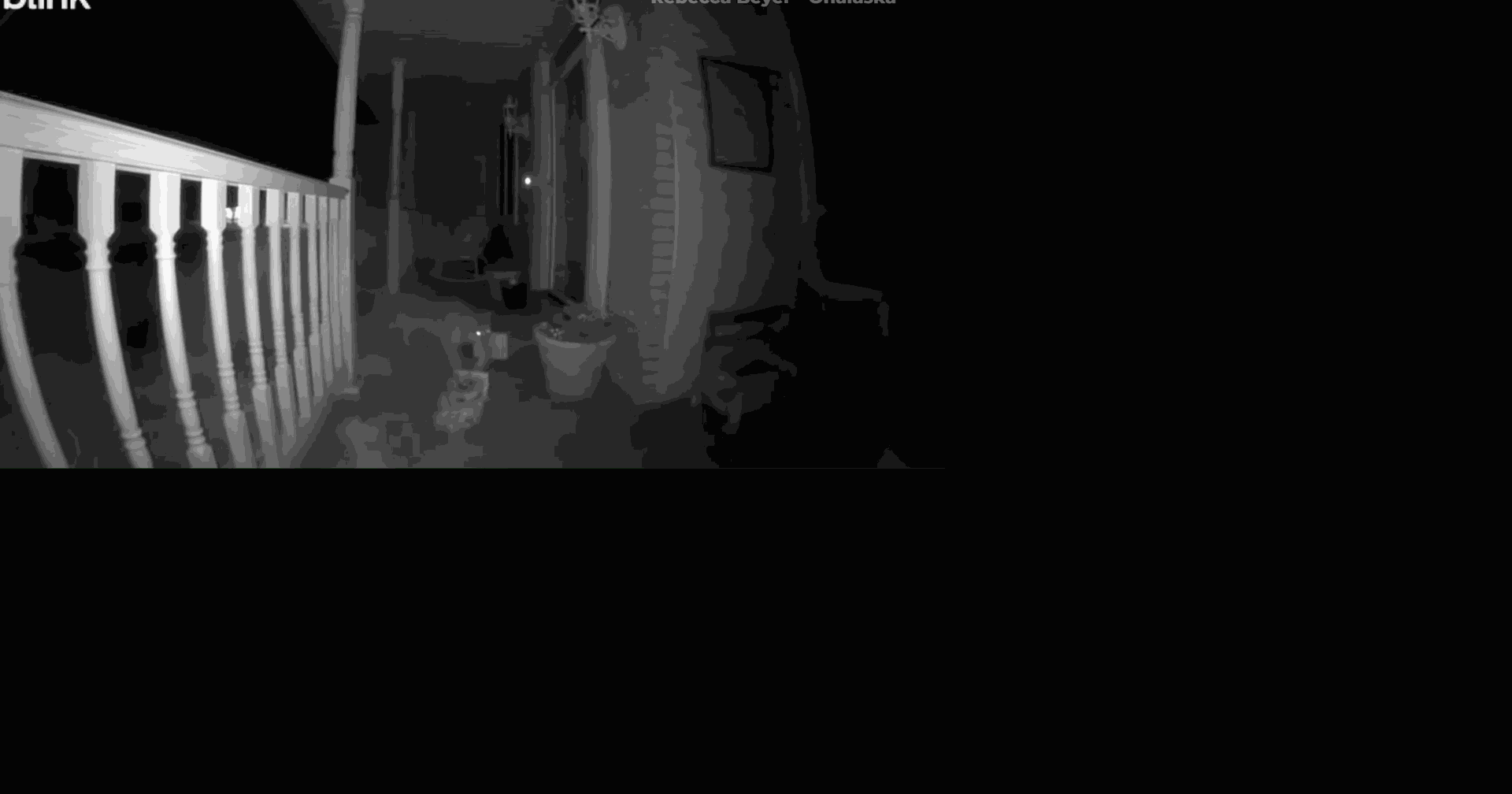 Bobcat identified in Onalaska neighborhood video