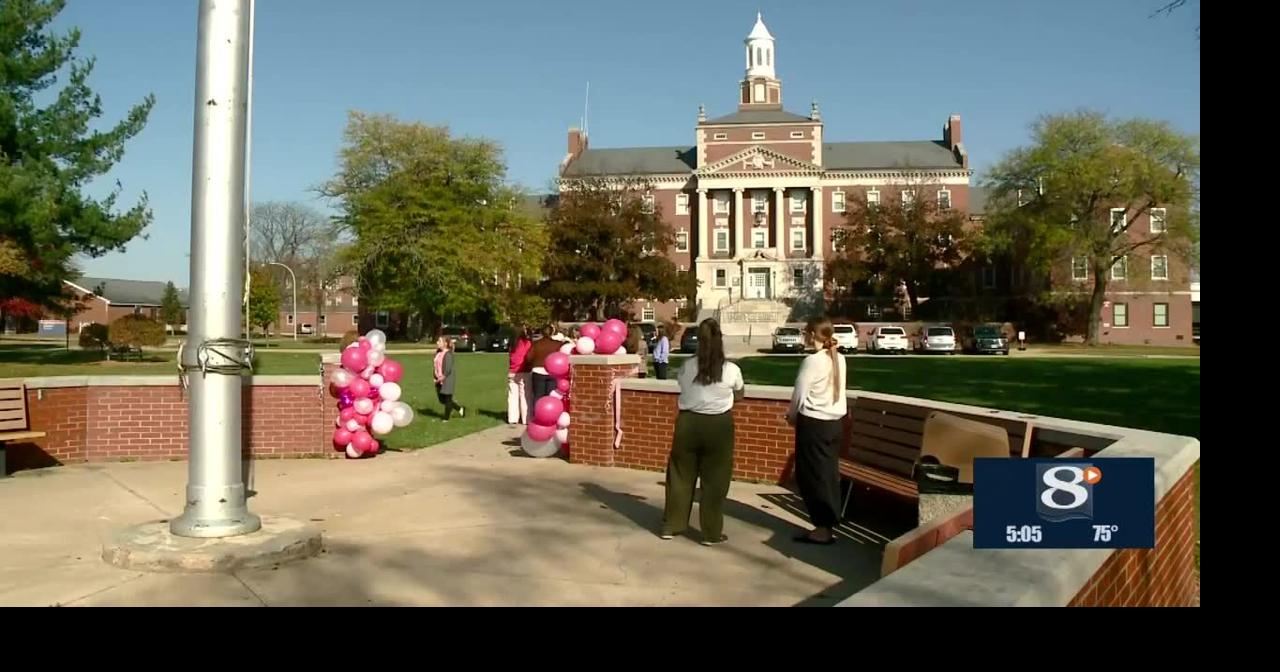 Breast Cancer Awareness Walk | News | news8000.com