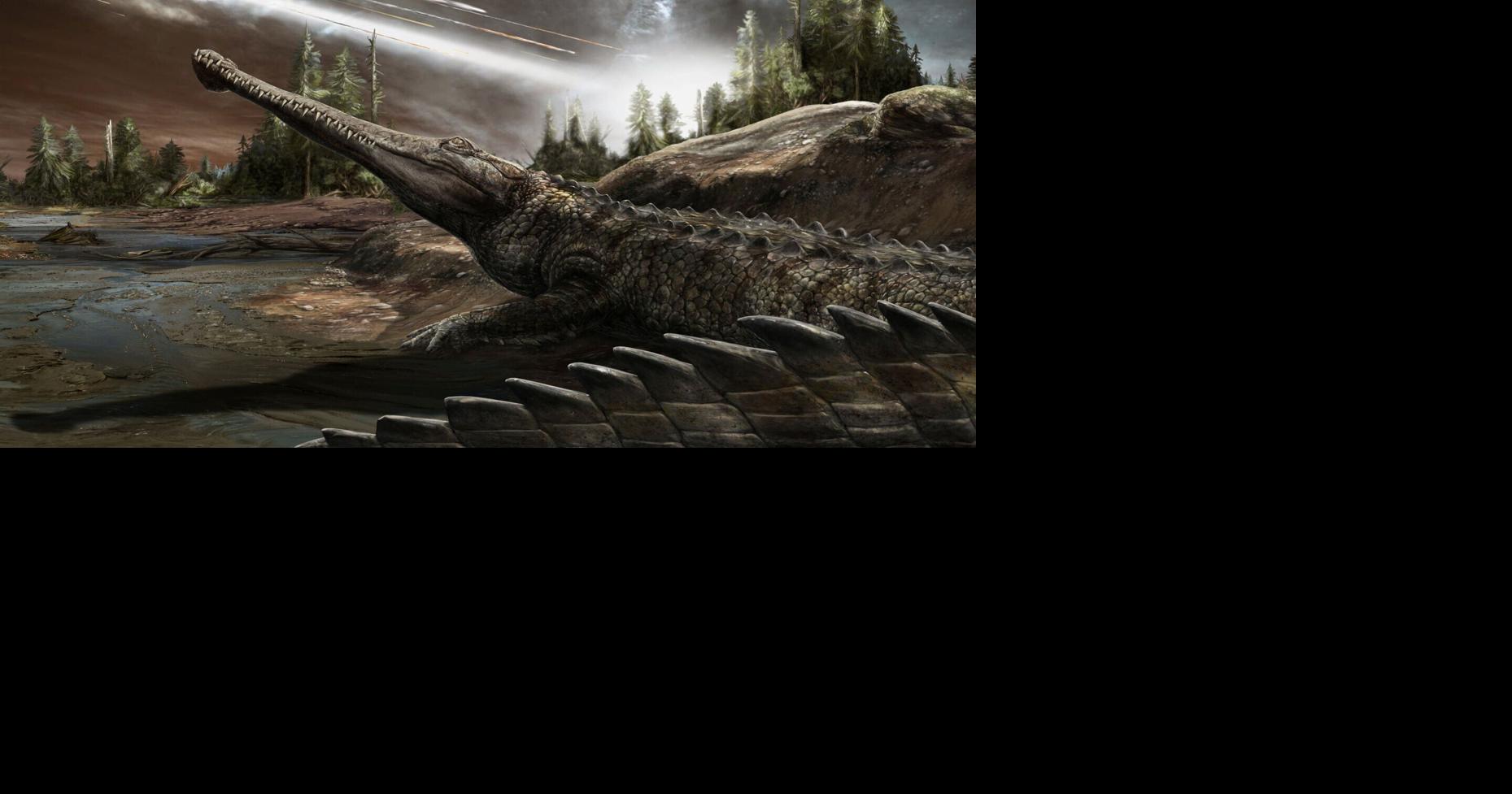 An affinity for warm climes has helped crocs thrive for eons | National ...