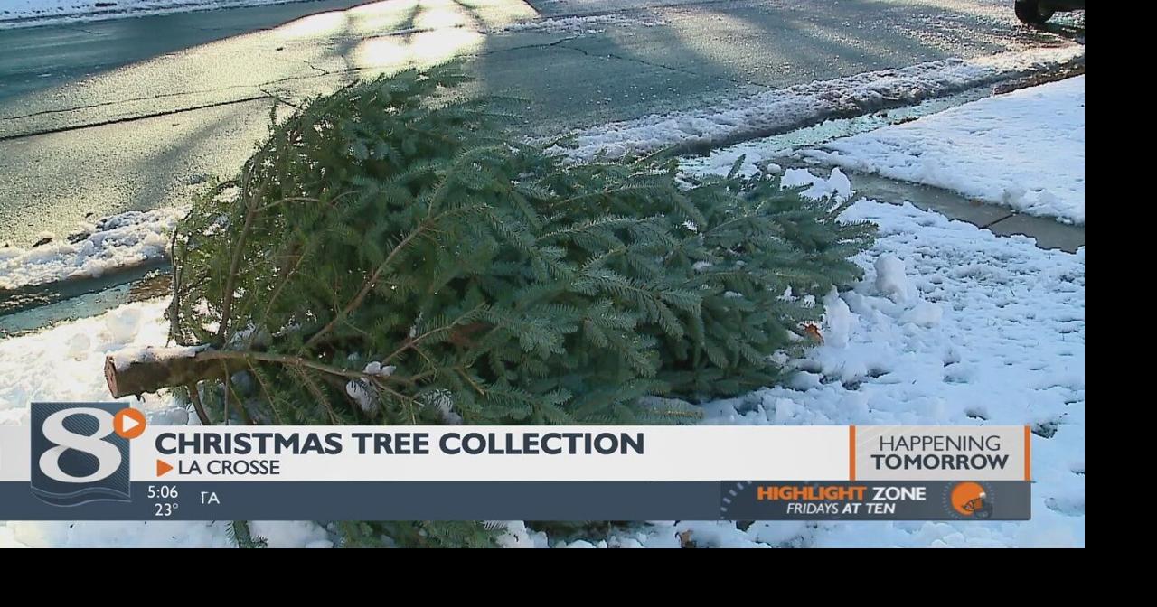 Christmas tree pickup to begin in La Crosse La Crosse