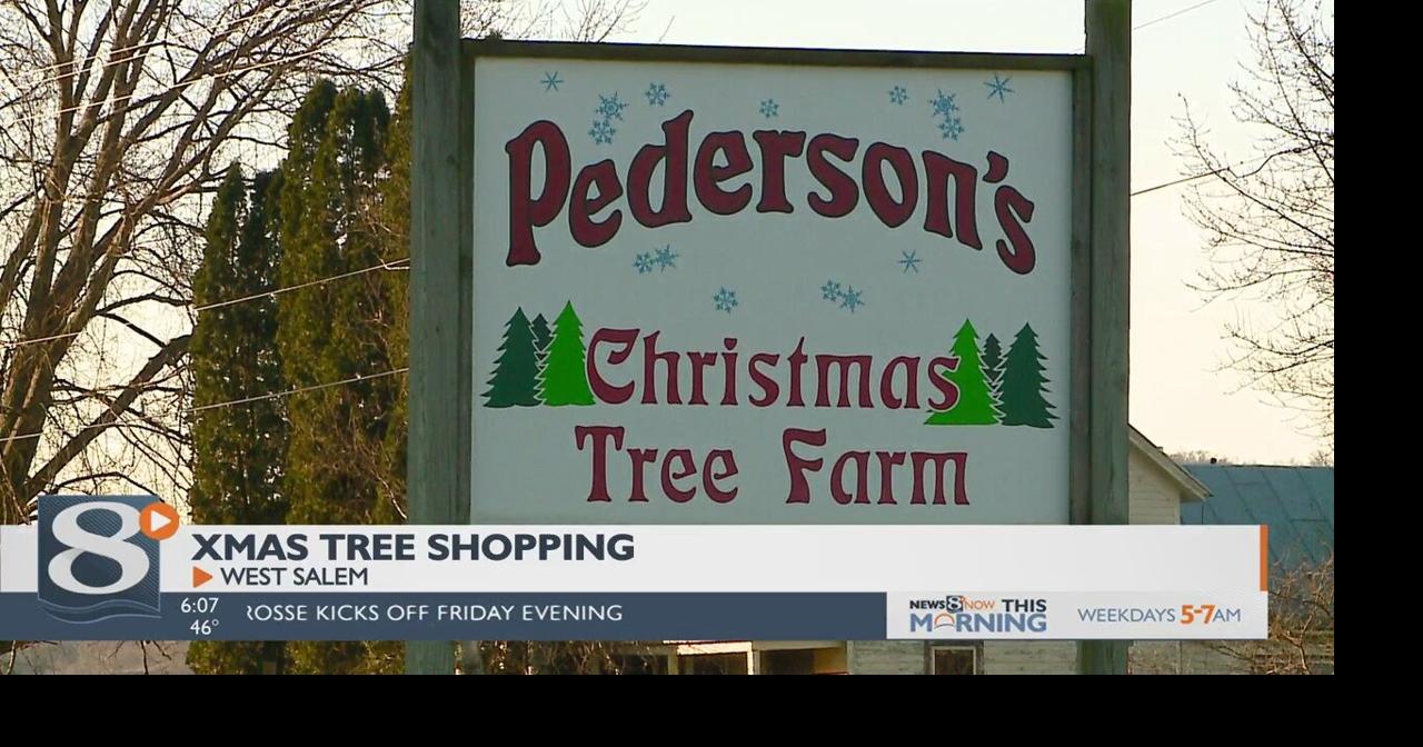 ‘Tis the season for a holiday staple! Christmas tree farms are gearing ...