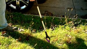 Volunteers Take Part in Sunday Community Cleanup in La Crosse