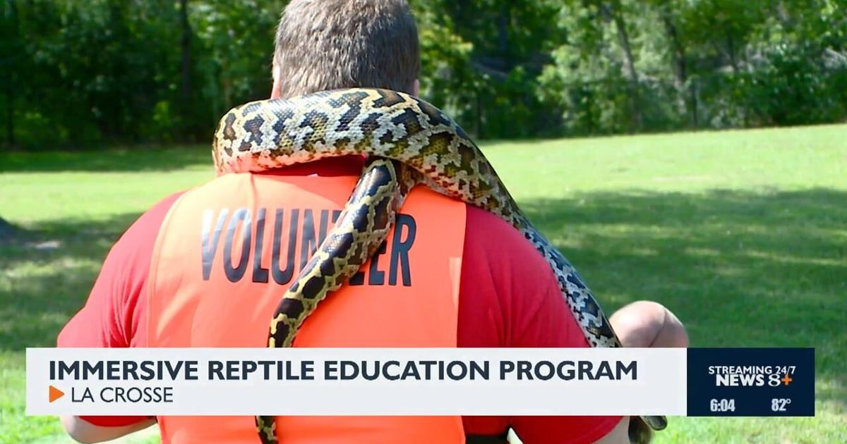 Immersive Reptile Education Program