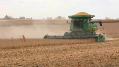 Iowa farmers sound alarm as Trump administration backs $20 billion