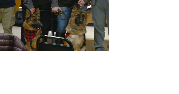 West Salem American Legion Post 51 to present veteran with service dog after winning fundraiser challenge - Vimarsana News